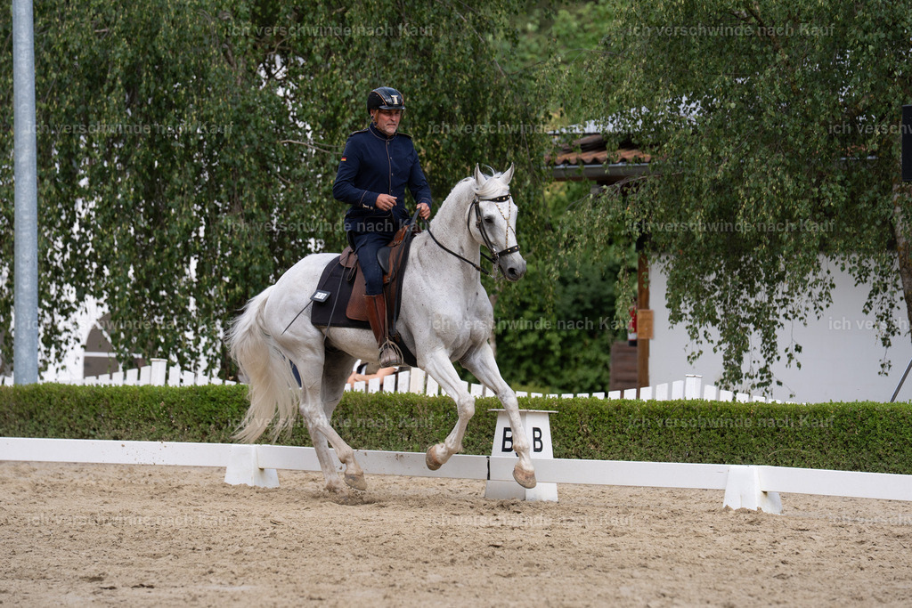 WS_DR_49_sinafilmart_IN00995 | working equitationturnier fotograf videograf stoibphotography marixx film working equitation deutschland reitsport turnierfotografie eventfotografie equestrian events