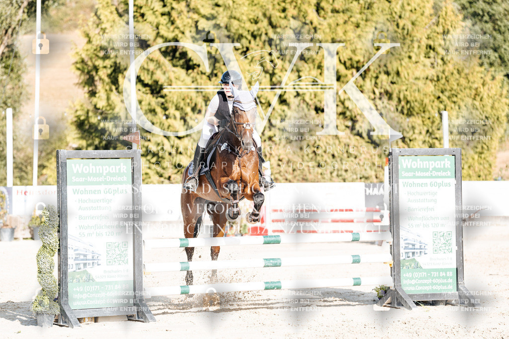 CK909611 | Turnierfotografie Pferdefotografie Trier Rheinland-Pfalz Pferdesport Reitsport Tierfotografie Sportfotografie Pferdevideo Pferdevideografie Equestrianvideography equestrianphotography  - Realisiert mit Pictrs.com