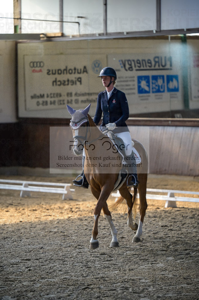 Reitturnier Voxtrup | Entdecke hochwertige Reitturnierfotos von Foto Oger. Professionell, emotional und authentisch – jetzt Lieblingsmomente im Shop bestellen.Deutschlandweite Turnierfotografie. - Realisiert mit Pictrs.com