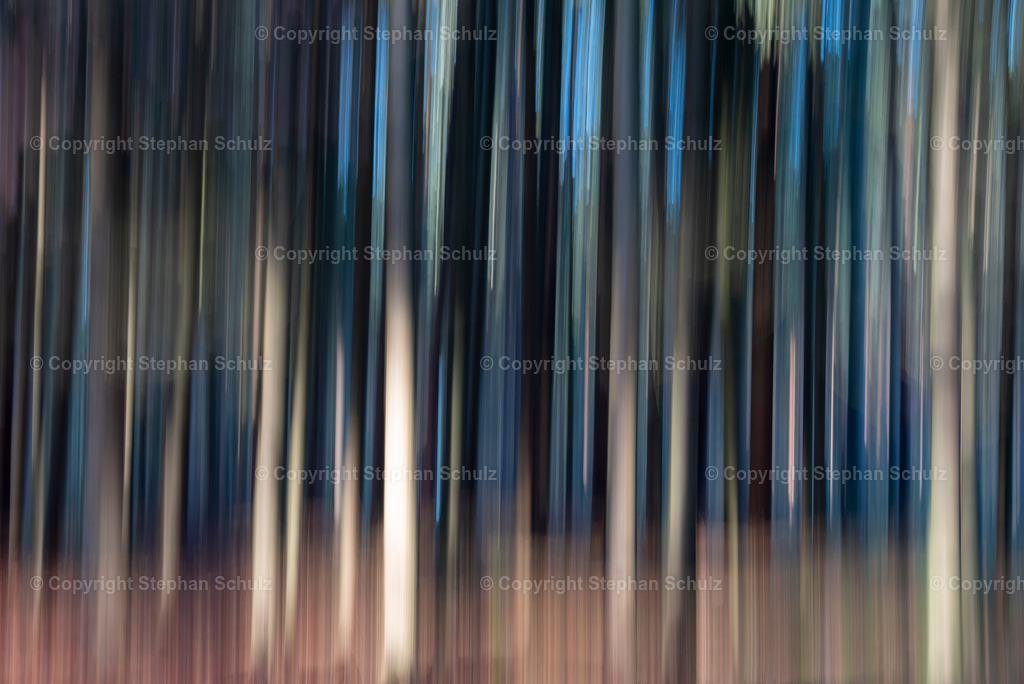 Wald im Herbst | Baumstämme von Rotbuchen (Wischeffekt: Kamera bei der Aufnahme bewegt.)   - Realisiert mit Pictrs.com