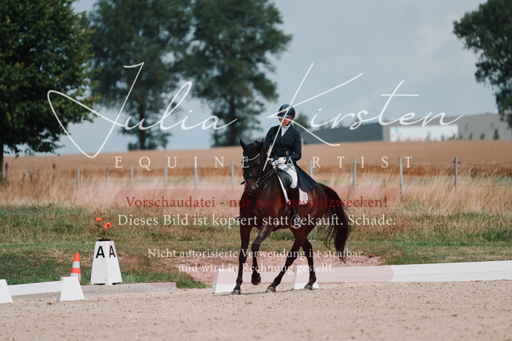 DSC_4281 | Pferde- und Turnierfotografie in Westsachsen. Pferdeportraits, Auftragszeichnungen und intuitive Kunst.
