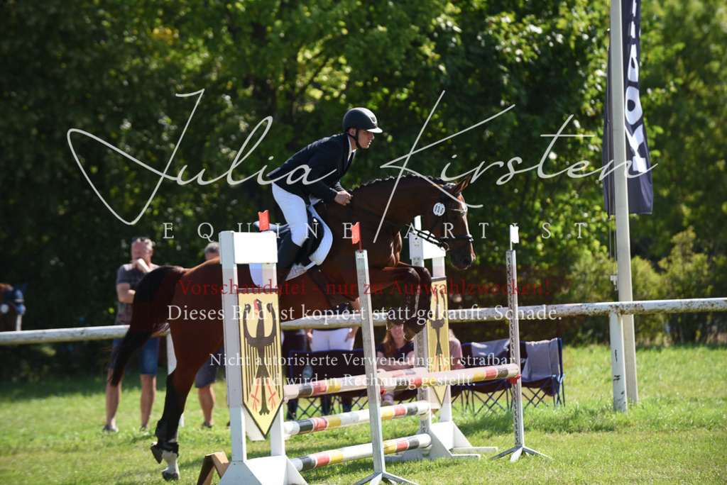 DSC_9044 | Pferde- und Turnierfotografie in Westsachsen. Pferdeportraits, Auftragszeichnungen und intuitive Kunst.