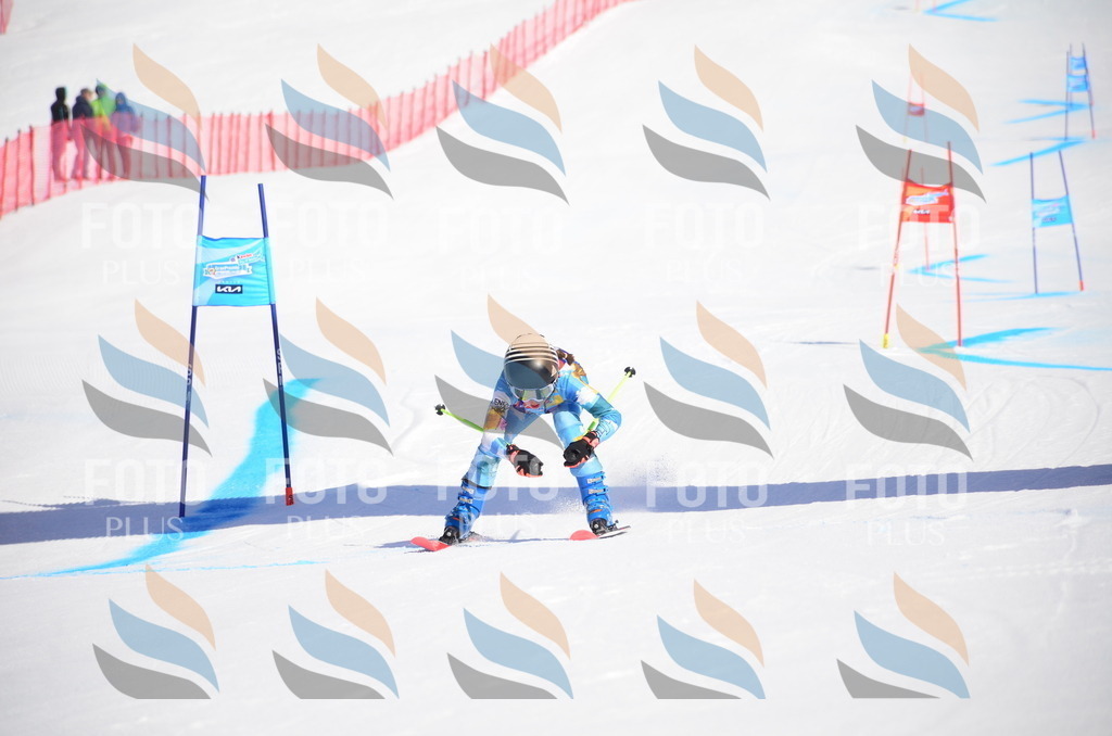 VR4_9272 | holidayphoto