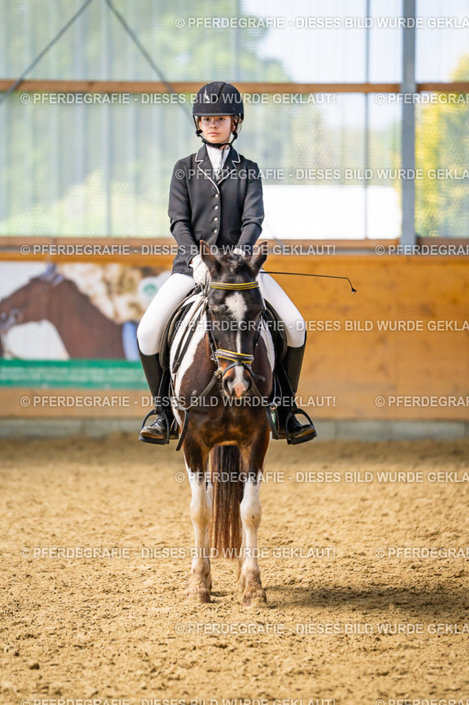 DSC03456 | Pferdegrafie