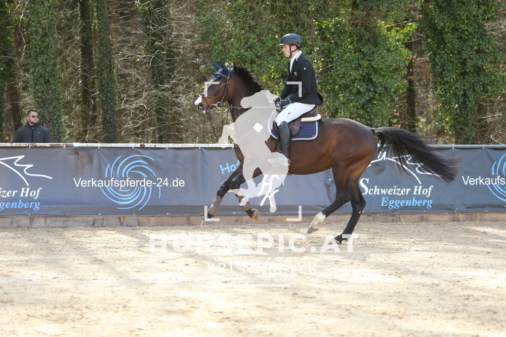 DL2Q9112 | Willkommen bei Brunnmayr - Design & Fotografie – Ihrem Spezialisten für Reitturniere und Pferdeveranstaltungen in Oberösterreich, Salzburg und Bayern! Seit über 17 Jahren sind wir leidenschaftlich dabei.