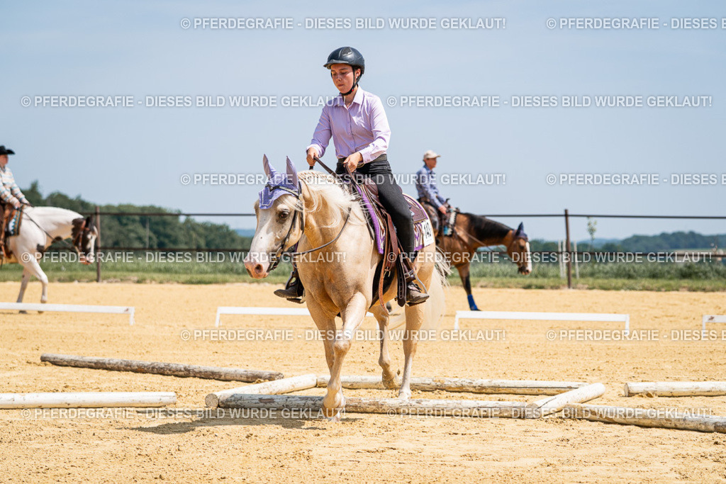 DSC01103 | Pferdegrafie