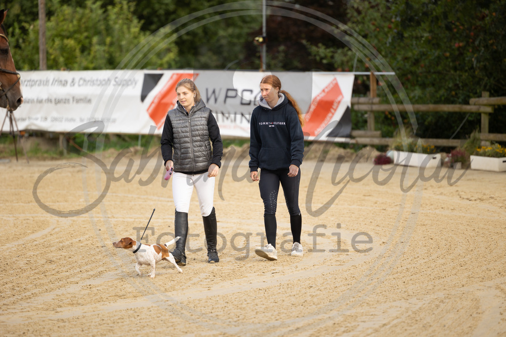994A7164 | sabrinanicolaifotografie - Realisiert mit Pictrs.com