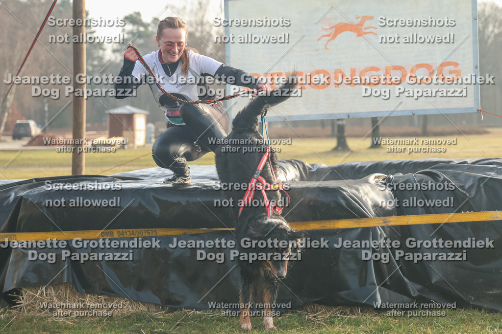 Dog Paparazzi - SD North Sa 830-900-8 | Dog Paparazzi Jeanette Grottendiek Fotografie & Videografie - Realisiert mit Pictrs.com