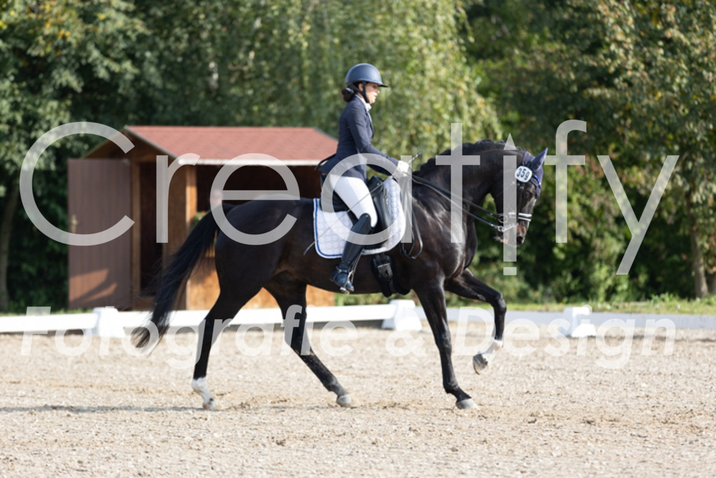 IMG_2151 | Creatify Fotografie