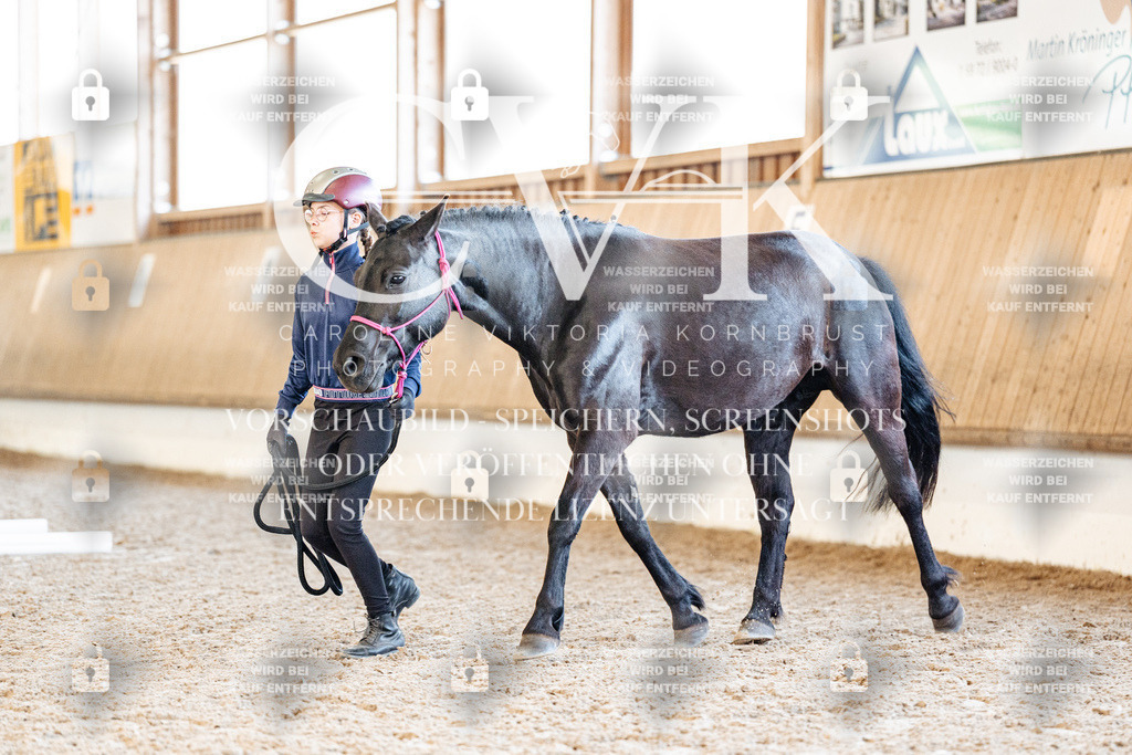 CK906022 | Turnierfotografie Pferdefotografie Trier Rheinland-Pfalz Pferdesport Reitsport Tierfotografie Sportfotografie Pferdevideo Pferdevideografie Equestrianvideography equestrianphotography  - Realisiert mit Pictrs.com