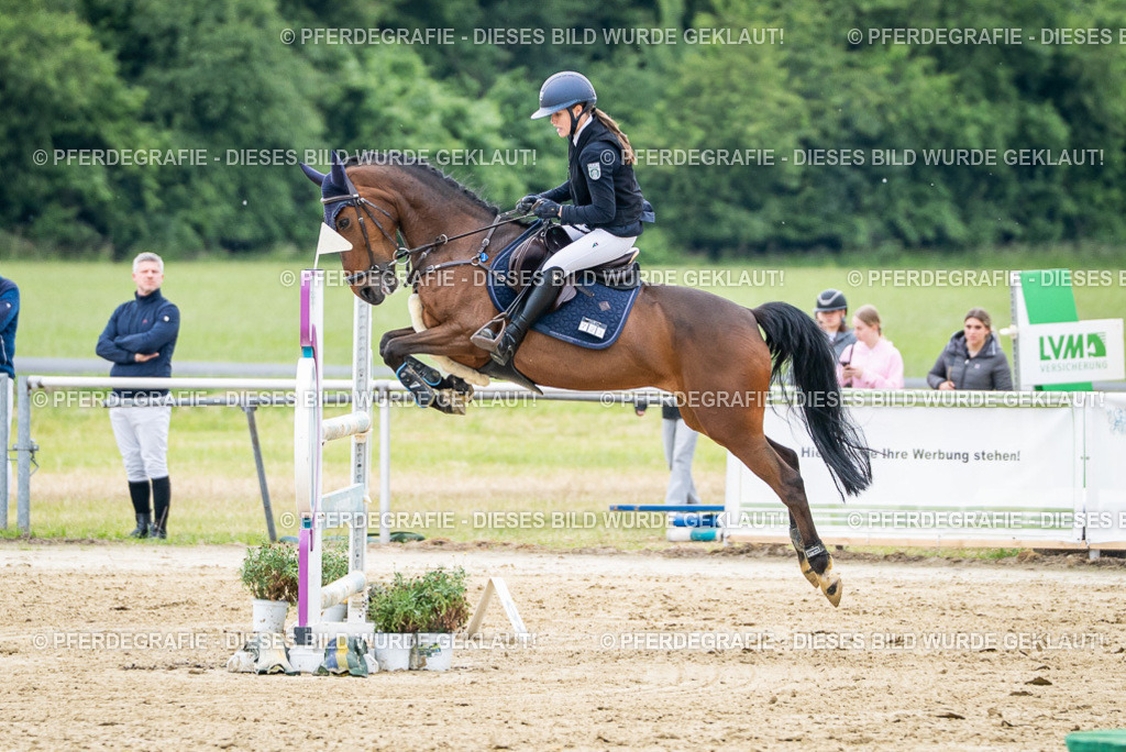 DSC05493 | Pferdegrafie