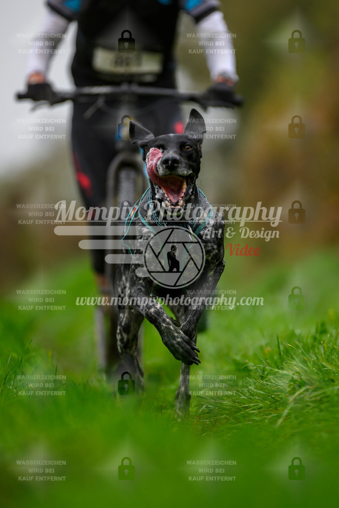 MompixPhotography_20TSB_E8_DS1-20 | PayLife