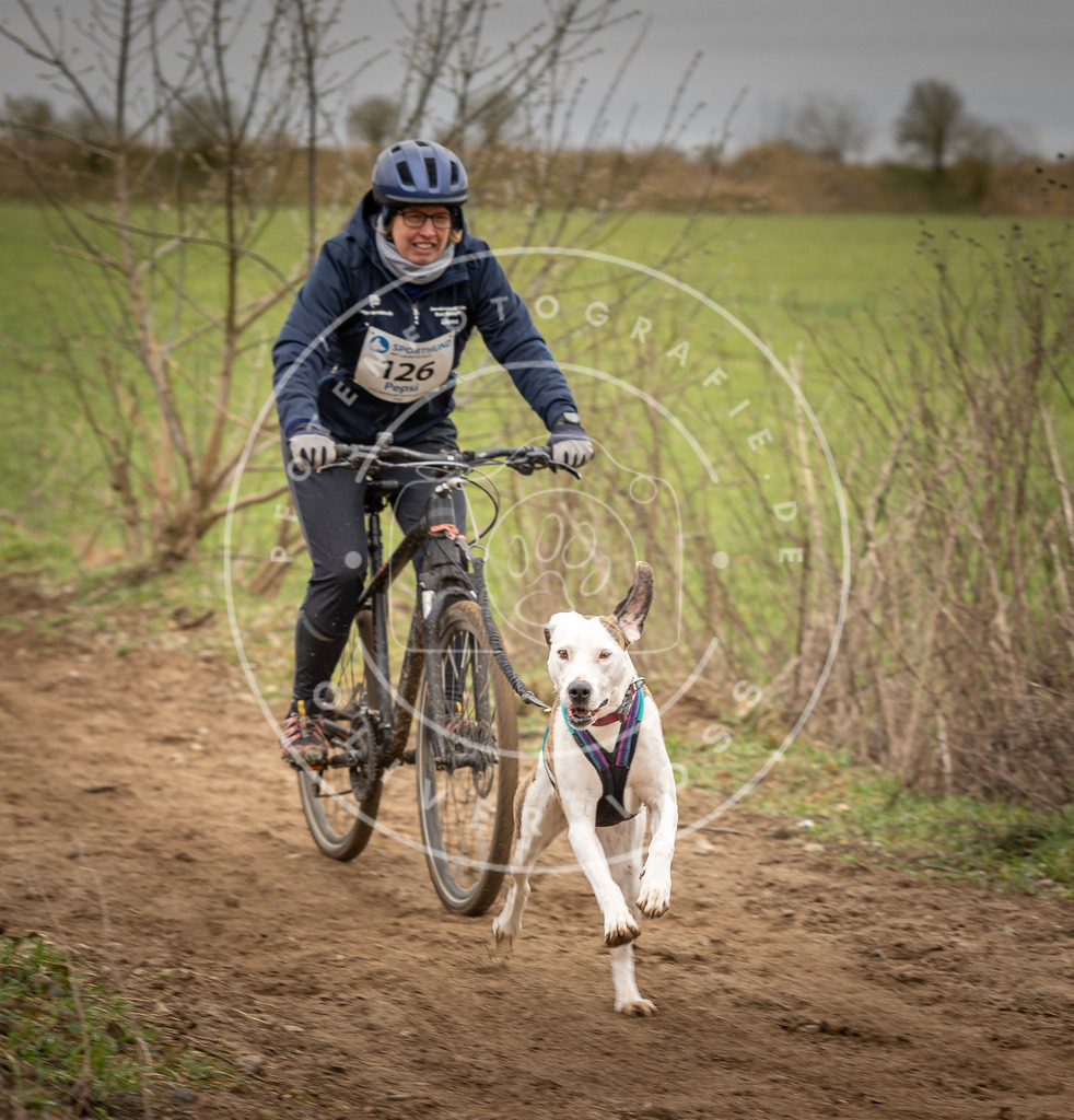 DV3A1606 | Hundefotografie, Tierfotograf, Pfotenfotografie, Fotoshooting Hund, Hunde Portrait, Hundesport, Hundeportraits, Heideshooting, Hunde, Sportfotograf, Hundefotograf, Turnierhundsport, THS,  - Realisiert mit Pictrs.com