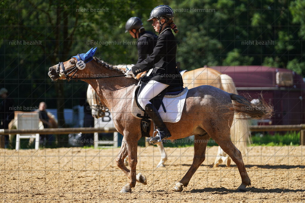 20240706-FAH04770 | Grafing Turnierfotos, Reitverein Ebersberg, Turnierfotografen Bayern, reitsportbilder, Pferdefotograf, reitsportfotograf, Sportbilder, Reitsportfotografie, Fotoagentur Herrmann, Turnierfotograf