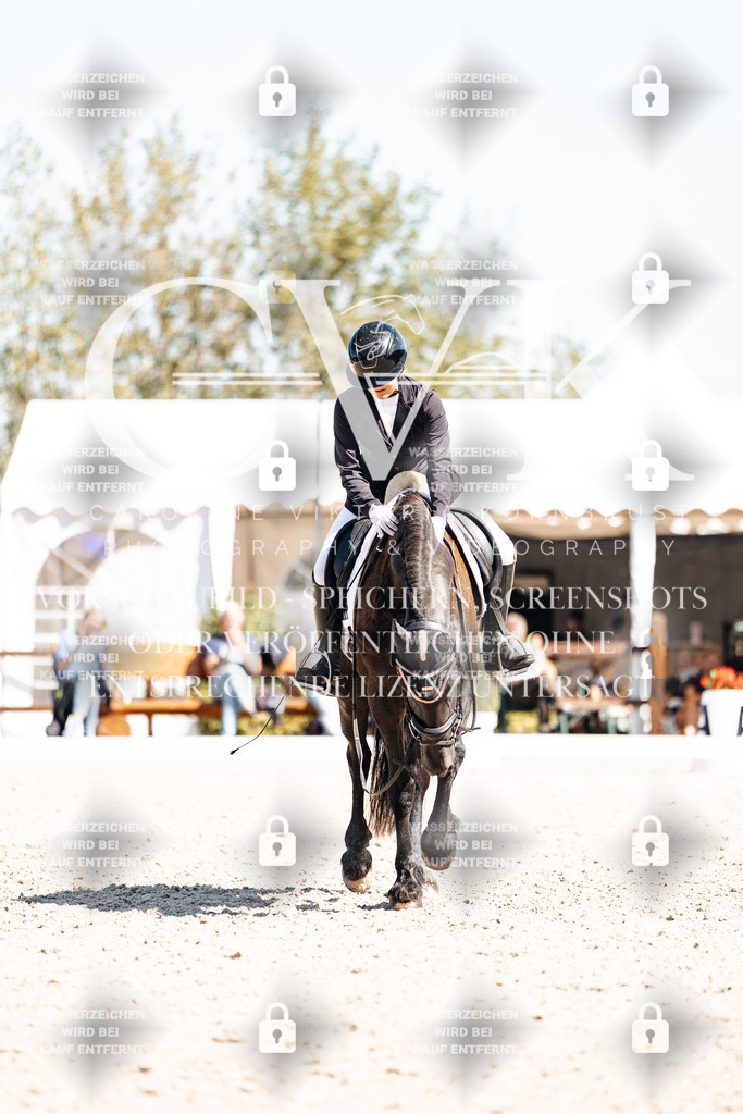 CK904117 | Turnierfotografie Pferdefotografie Trier Rheinland-Pfalz Pferdesport Reitsport Tierfotografie Sportfotografie Pferdevideo Pferdevideografie Equestrianvideography equestrianphotography  - Realisiert mit Pictrs.com