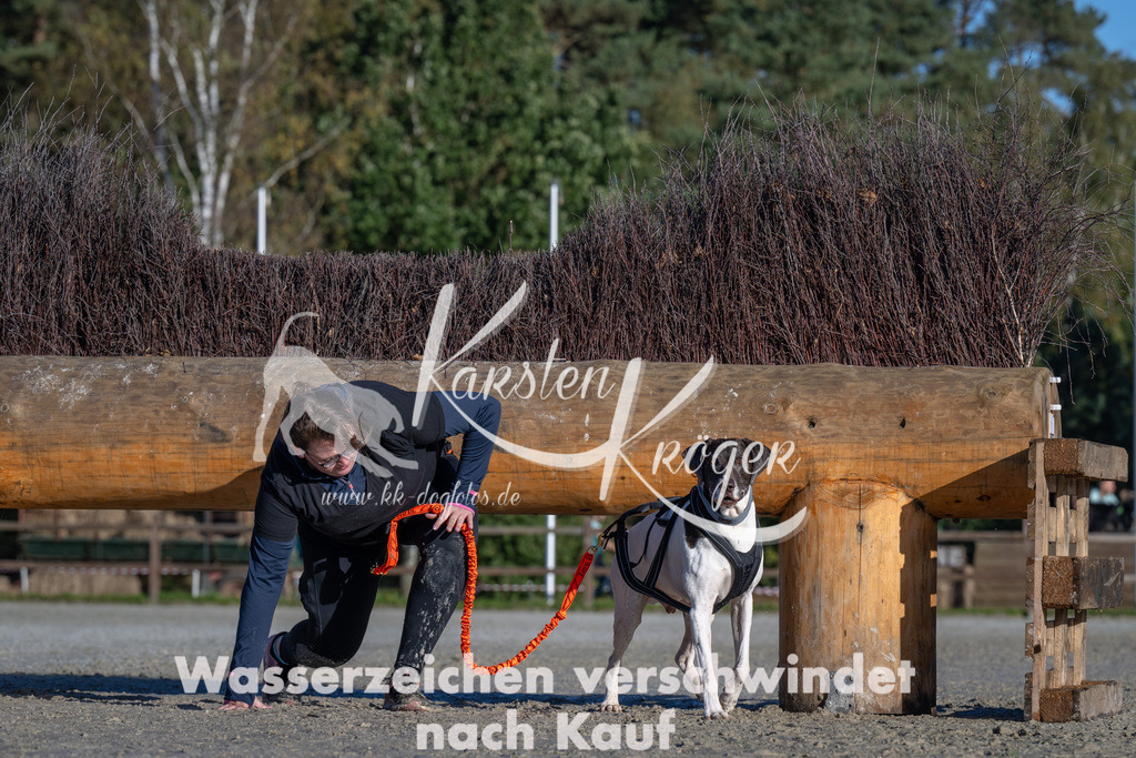 1025-_ZZ91086 | kk-dogfotos