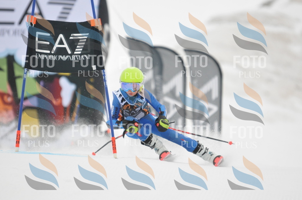 DSC_7718 | holidayphoto