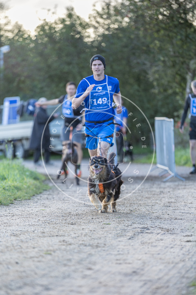 Pfotenfotografie.de_DV3A2804 | Hundefotografie, Tierfotograf, Pfotenfotografie, Fotoshooting Hund, Hunde Portrait, Hundesport, Hundeportraits, Heideshooting, Hunde, Sportfotograf, Hundefotograf, Turnierhundsport, THS, canicross - Realisiert mit Pictrs.com