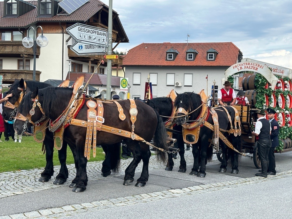 Das_Fest_150_Jahre_FFw_Hochdorf (584) | Professionelle Fotos Ihrer Veranstaltung? Pressebüro Thexterei Downloadbereich!   - Realisiert mit Pictrs.com