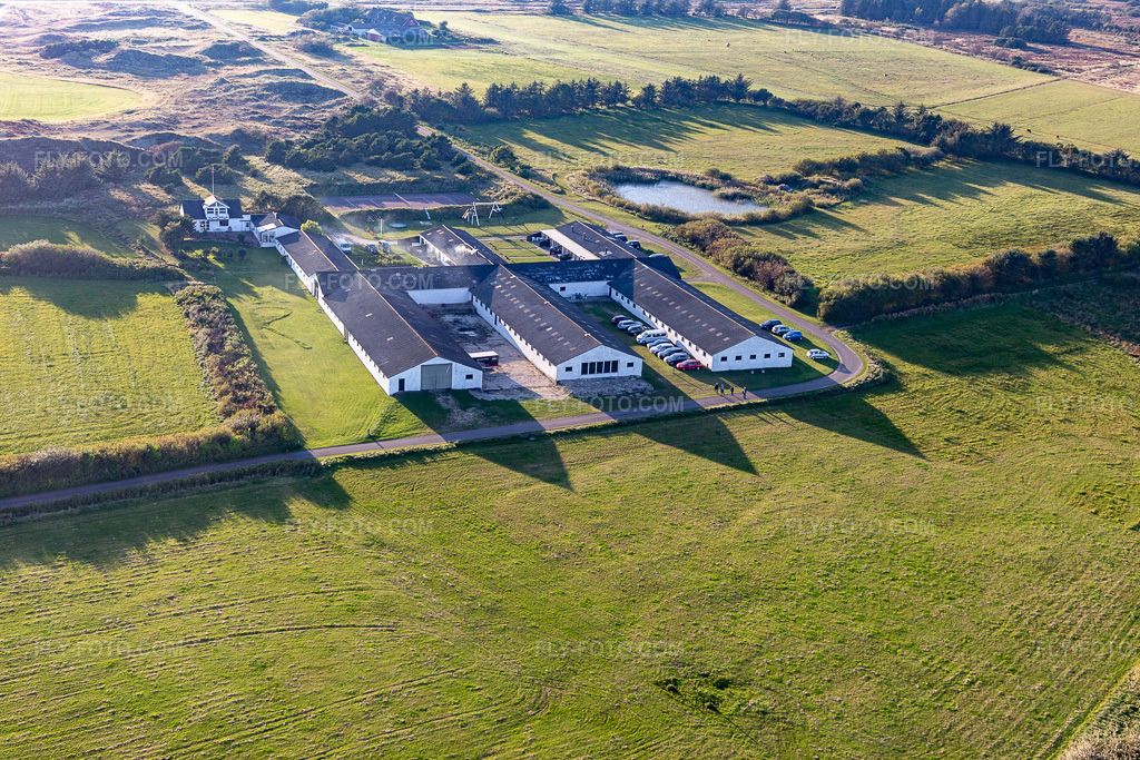 Aerial view: Rudbeck Farm Fanø in Fanø in the state South Denmark, Denmark.Photo: IMG_118882.jpg taken on 09/21/2019 by Werner Riehm/FLY-FOTO.comResolution of the original: 5455 x 3636 px