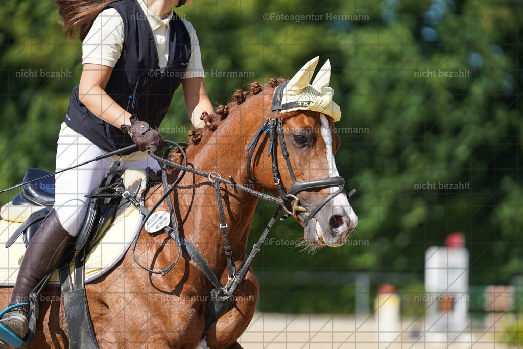 20240824-FAH08344 | Thierhaupten 2024, Bayerisches Landesponyturnier, Turnierbilder, Ponybilder, Turnierfotografen Bayern, Fotoagentur Herrmann