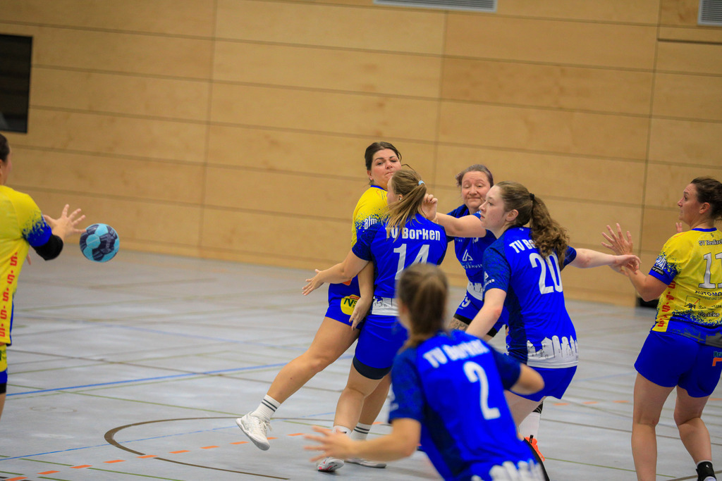 TvBorkenIII_SVN_161125_143 | Bildergalerie von Sport-Ereignissen aber auch von weiteren spannenden Dingen - nicht nur vom Niederrhein. In Anlehnung an den bekannten Spruch von Hanns Dieter Hüsch heißt das Motto: "Niederrhein ist überall".  - Realisiert mit Pictrs.com