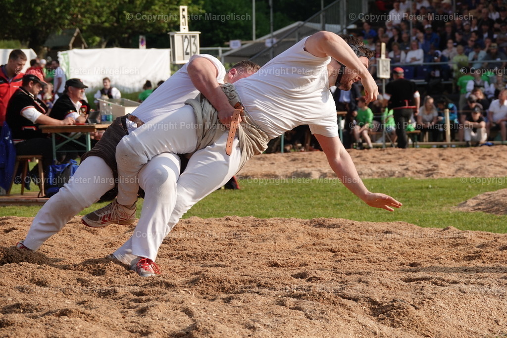 DSC04450 | Schwingen - Realisiert mit Pictrs.com