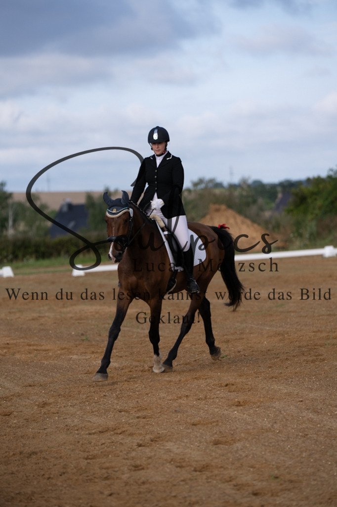 A7V03707 | Pferdefotograf