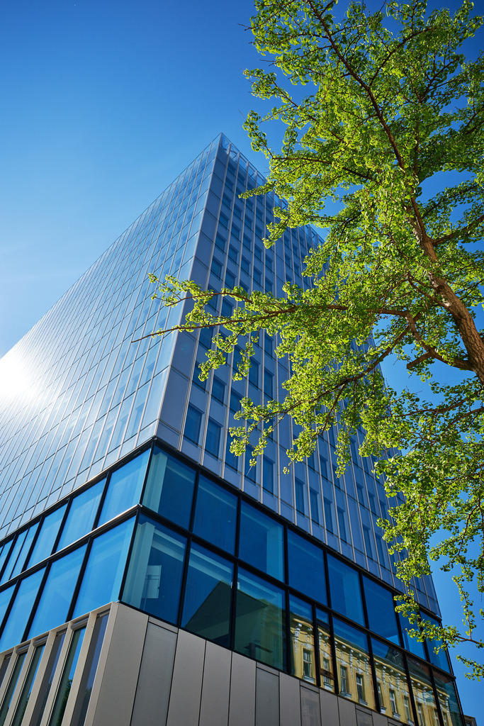 Grünes Wien - Bäume in Strassen und Gassen | Wien, Austria - April 22, 2020: Wiener Innenstadt-Grünes Wien; Bäume in Strassen und Gassen. - Realisiert mit Pictrs.com