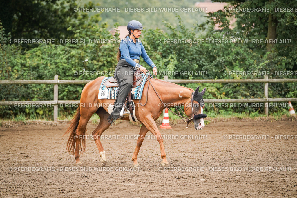 DSC02304 | Pferdegrafie