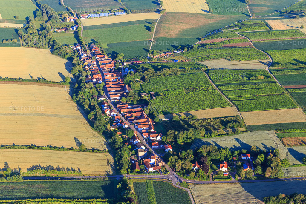 Luftbild: Ortsansicht von Osten in Vollmersweiler im Bundesland Rheinland-Pfalz in Deutschland. Foto: IMG_007787.jpg vom 21.06.2020 durch Werner Riehm/FLY-FOTO.de