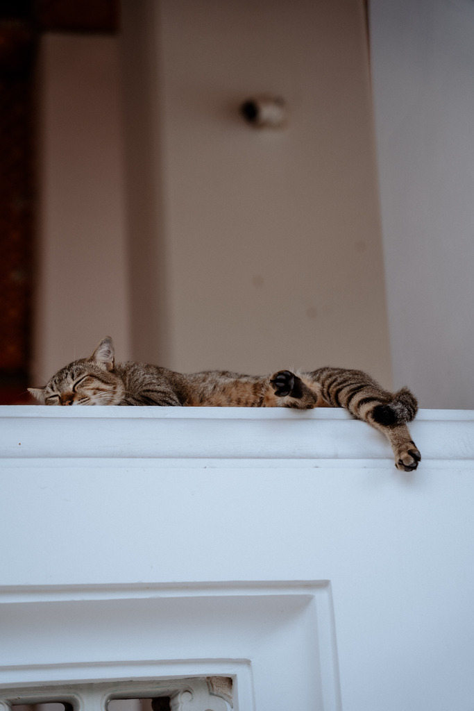 Bangkok | Print Shop 
Fotografie
Posterdruck
Landschaftsfotografie
Reisefotografie
Naturfotografie
Anja Brandes Poster 
Anja Brandes Photography 
Prints for Walls 
Printable 
Posterdrucke
Poster aesthetic 
Poster Wall 
Poster Prints 
Poster schwarz weiß - Realisiert mit Pictrs.com