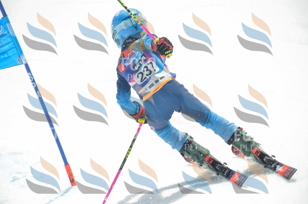 _ELE7395 | holidayphoto