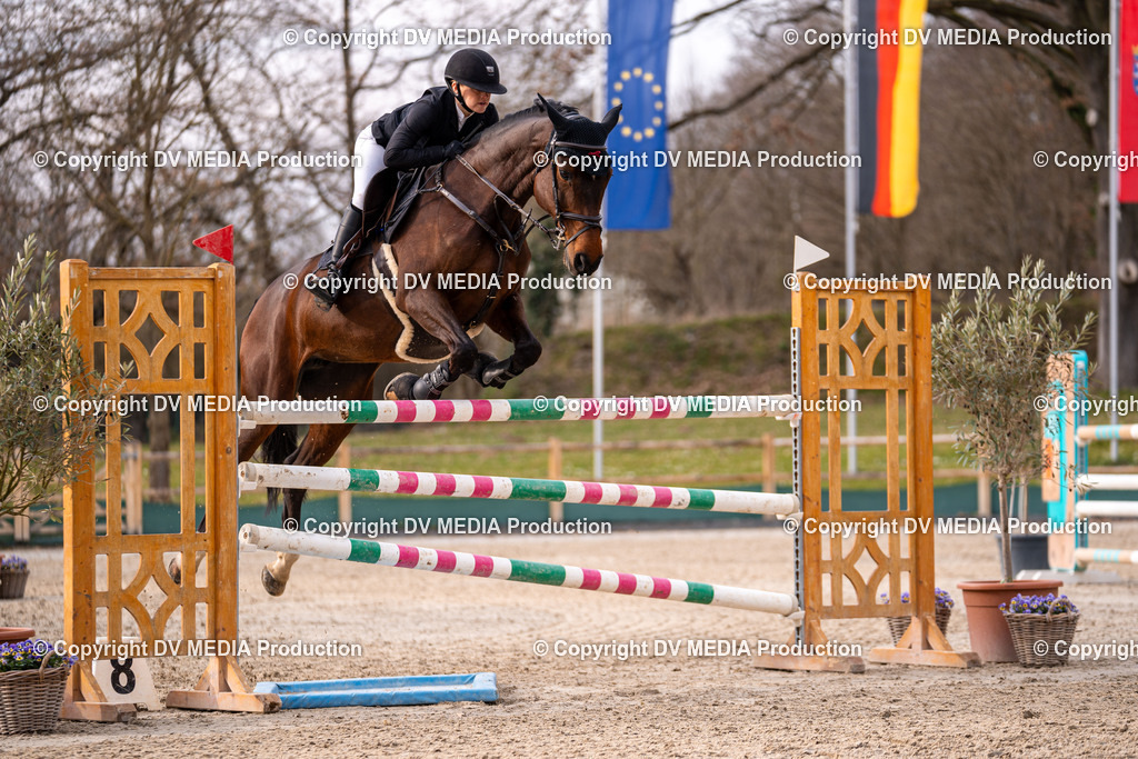 Kranichstein Tag 2-2313 | dv-media-shop - Realisiert mit Pictrs.com