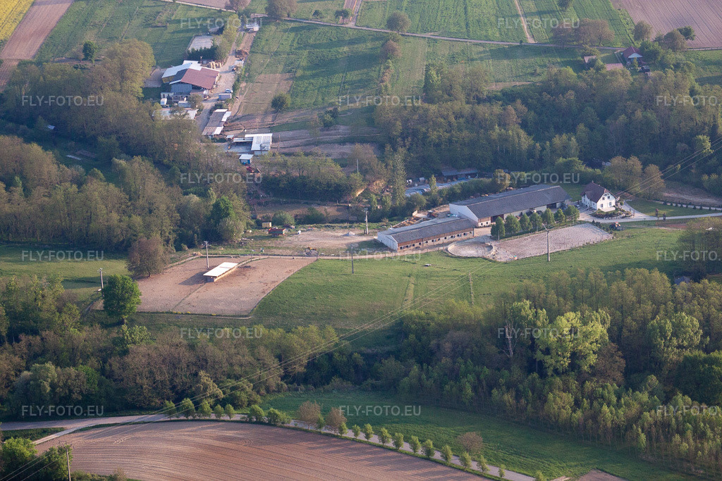 Vue aérienne: Haras de la Née à Mothern dans le département Bas Rhin, France – .Photo: IMG_40334.jpg prise le 22/04/2011 par Werner Riehm/FLY-FOTO.eu – Résolution de l'original: 4752 x 3168 px