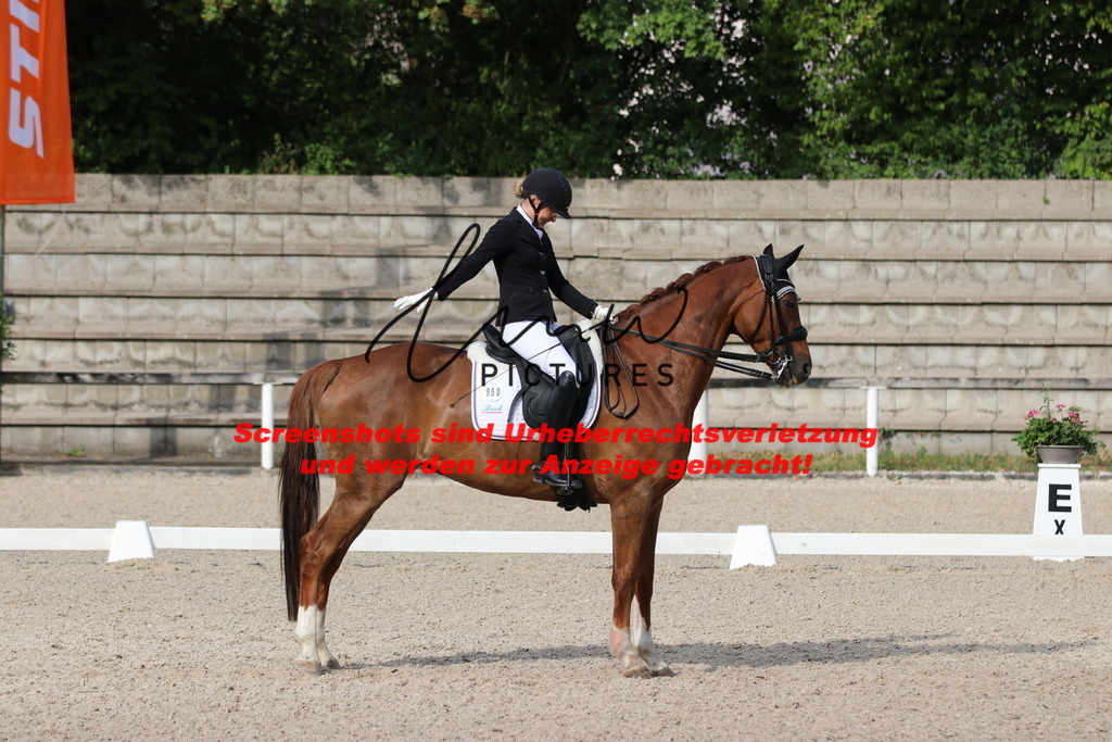 IMG_6311 | lmwpictures - Realisiert mit Pictrs.com