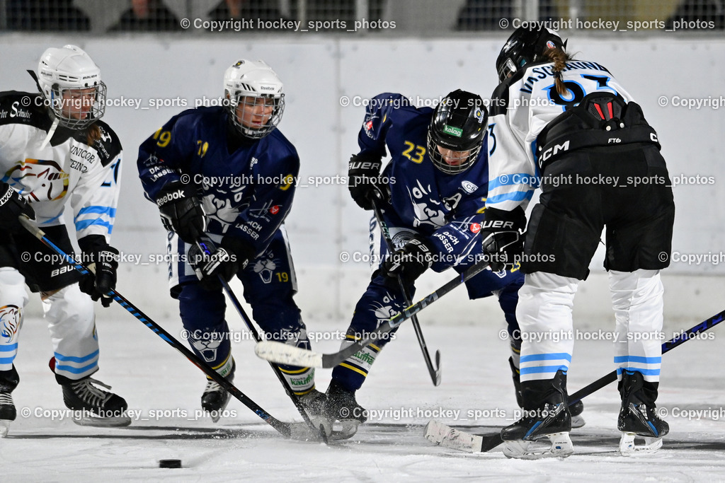 Wildcats Paternion vs. Unicorns Steindorf | #20 Raunegger Verena UNICORNS STEINDORF, #19 Knes Julia WILDCATS PATERNION, #23 Stuppnig Iris WILDCATS PATERNION, #83 Vaschauner Sabrina UNICORNS STEINDORF, Wildcats Paternion vs. Unicorns Steindorf, Wildcats Paternion vs. Unicorns Steindorf am 02.01.2026 in Paternion (Eislaufplatz Paternion), Austria, (Photo by Bernd Stefan)