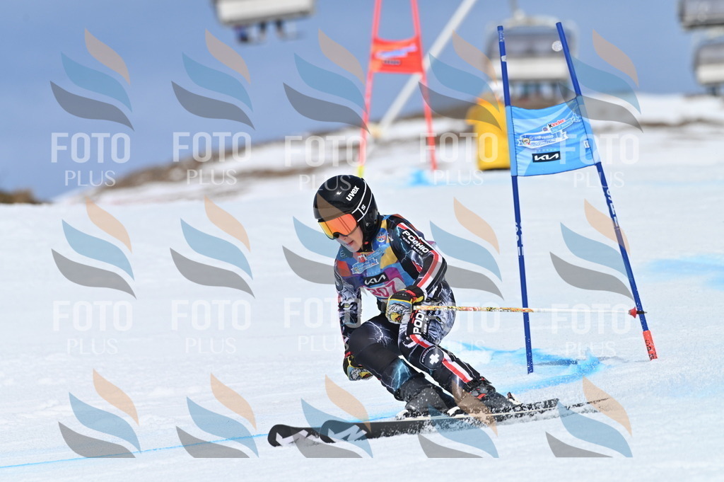 BGV_1095 | holidayphoto