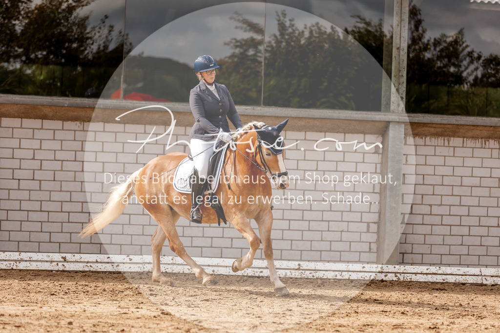 3I6A7337 | Stimmungsvolle Portraits und Reitsportfotografie im Ruhrgebiet und im Münsterland.

Pferdefotografie, Hundefotografie, Tierfotografie, Reportagen, Portraits von Tier und Mensch, Turnierfotografie in Bochum, Recklinghausen, Marl, Haltern am See, Dülmen.. - Realisiert mit Pictrs.com