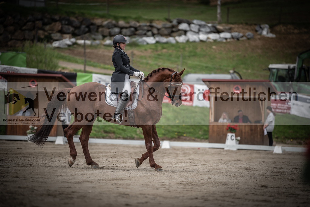 DSC_2553 | equestrian-live-com