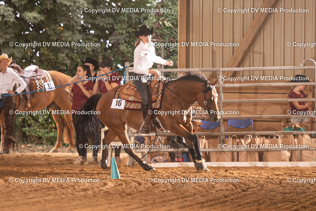 NID01198 | dv-media-shop - Realisiert mit Pictrs.com