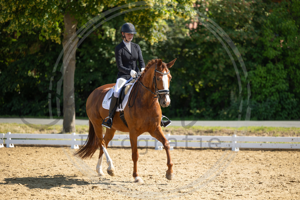 994A3082 | sabrinanicolaifotografie - Realisiert mit Pictrs.com