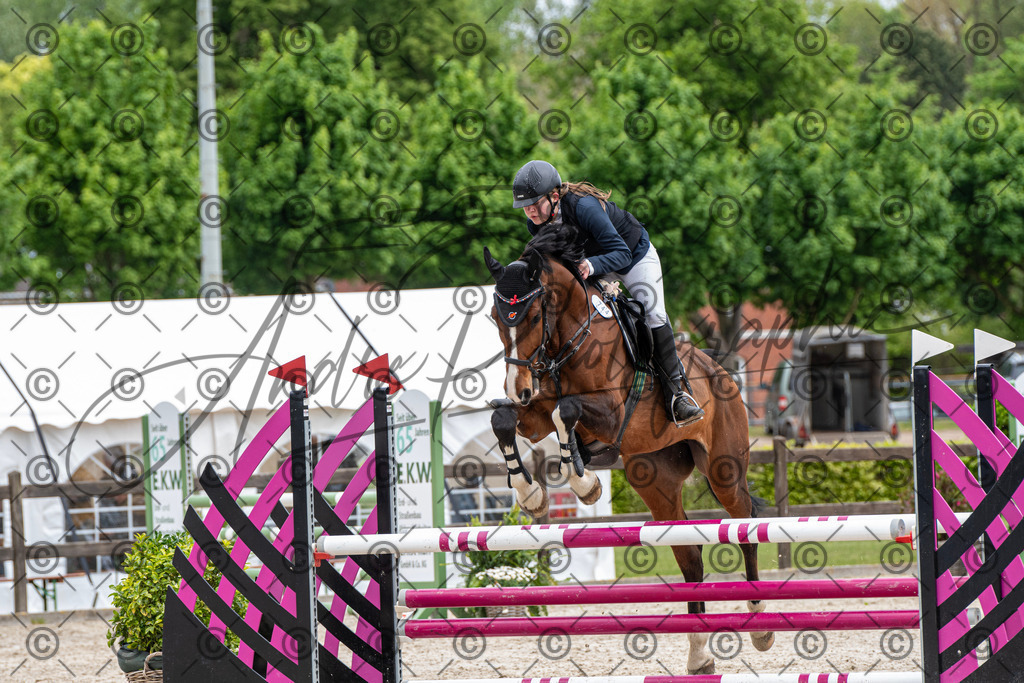 KPT_8818 | andre_photographic