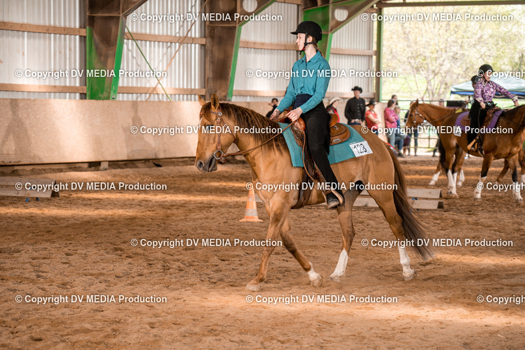 BAL02297 | dv-media-shop - Realisiert mit Pictrs.com