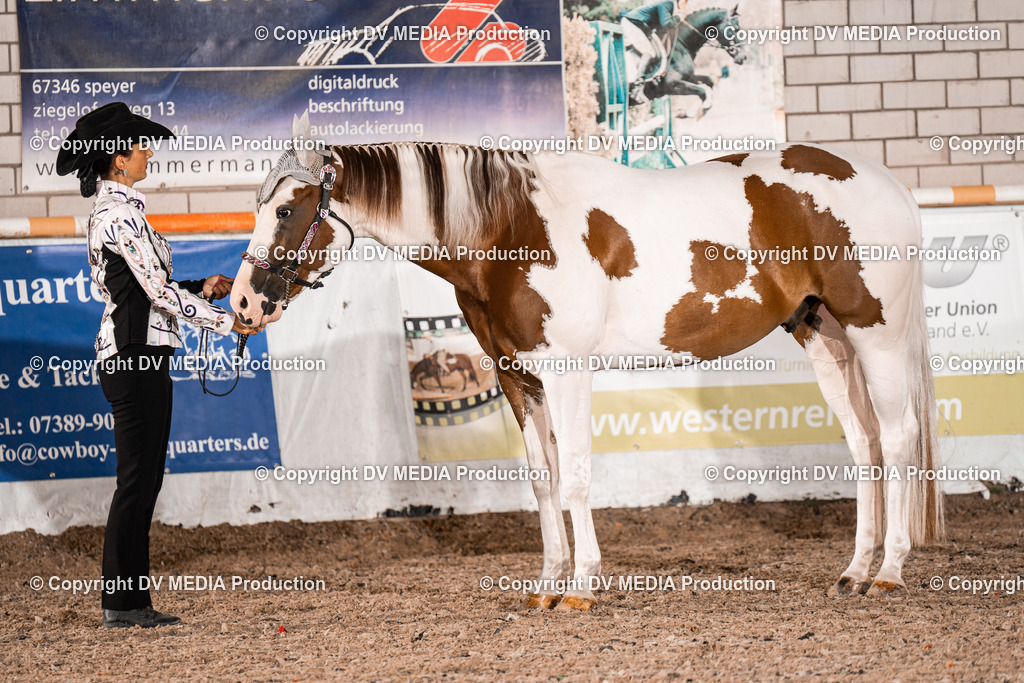 ZH200057 | dv-media-shop - Realisiert mit Pictrs.com