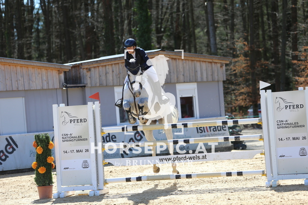 DL2Q5124 | Willkommen bei Brunnmayr - Design & Fotografie – Ihrem Spezialisten für Reitturniere und Pferdeveranstaltungen in Oberösterreich, Salzburg und Bayern! Seit über 17 Jahren sind wir leidenschaftlich dabei.