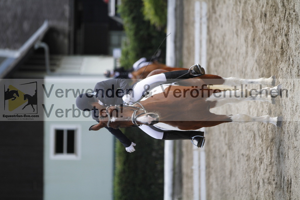 _MG_1191 | equestrian-live-com