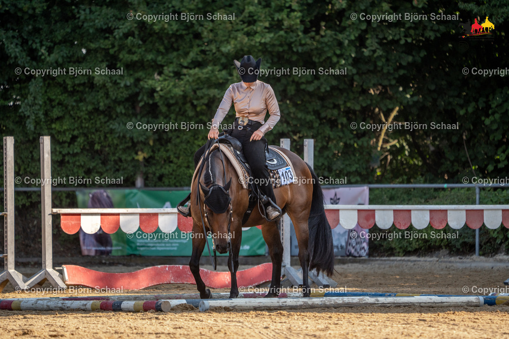 LMS04809 | BS-foto