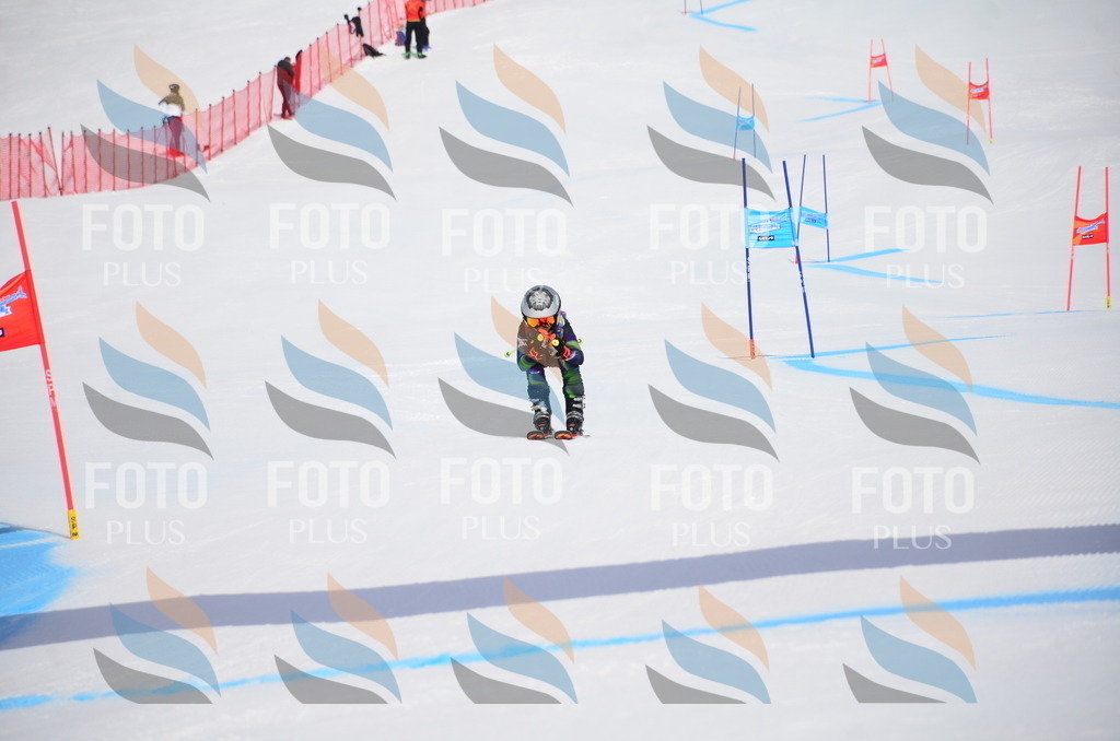 VR4_7364 | holidayphoto