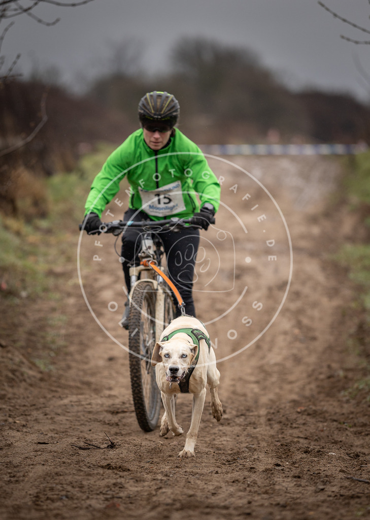 DV3A8971 | Hundefotografie, Tierfotograf, Pfotenfotografie, Fotoshooting Hund, Hunde Portrait, Hundesport, Hundeportraits, Heideshooting, Hunde, Sportfotograf, Hundefotograf, Turnierhundsport, THS,  - Realisiert mit Pictrs.com